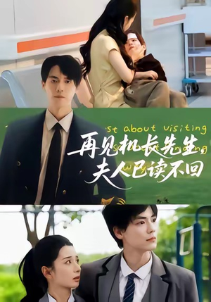 再见机长先生夫人已读不回（62集）一口气追短剧至大结局