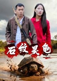 石纹灵龟（30集）百亿短剧好看计划