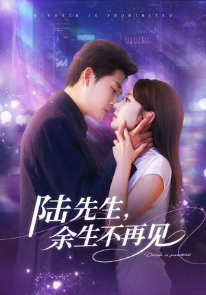 陆先生，余生不再见（88集）超好看的短剧一起追剧