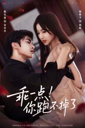 乖一点！你跑不掉了（85集）火爆短剧推荐抢先看全集