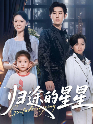 归途的星星（100集）火爆短剧推荐抢先看全集