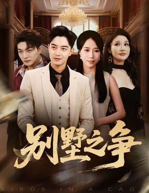 别墅之争（59集）直接看到大结局的短剧资源