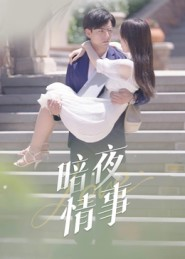 暗夜情事（100集）好土好上头短剧推荐