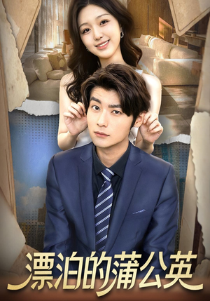 漂泊的蒲公英（60集）超好看的短剧追完不后悔