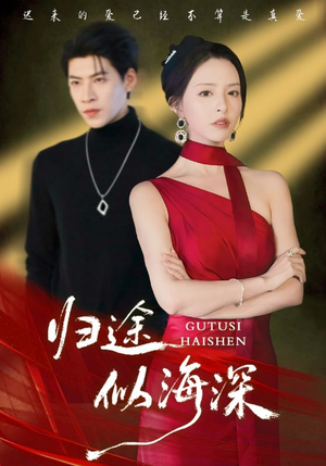 归途似海深（61集）短剧经典全集任你选