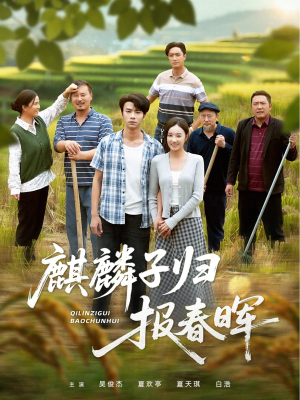 麒麟子归报春晖（36集）短剧合集蓝光画质