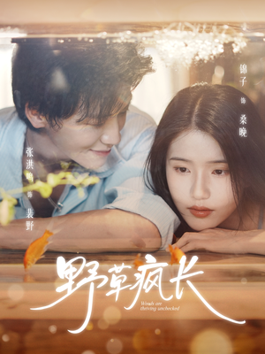 野草疯长（71集）短剧追到爽热门短剧抢先看