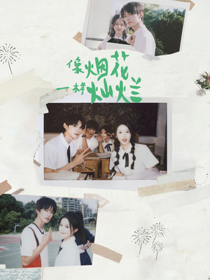 像烟花一样灿烂（60集）超好看短剧抢先看