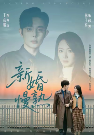 新婚慢熟（105集）短剧大结局完整版免费看