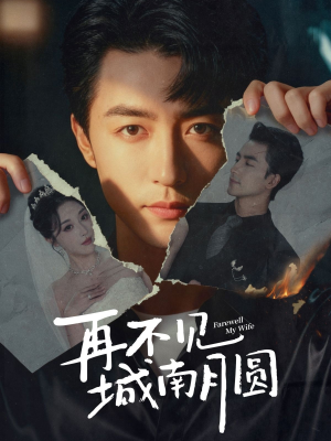 再不见城南月圆（60集）短剧抢先看精彩无限量