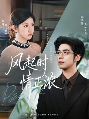 风起时情正浓（79集）超火热门短剧抢先看