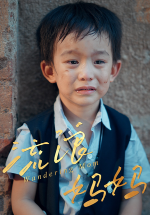 流浪妈妈（30集）红果短剧免费看剧app