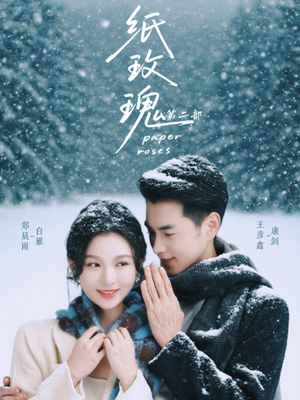 纸玫瑰第二部（80集）红果短剧免费看app