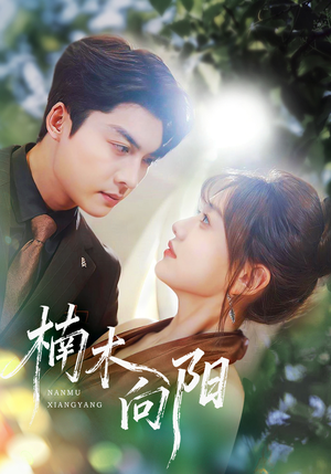 楠木向阳（70集）再也不用花钱看短剧了