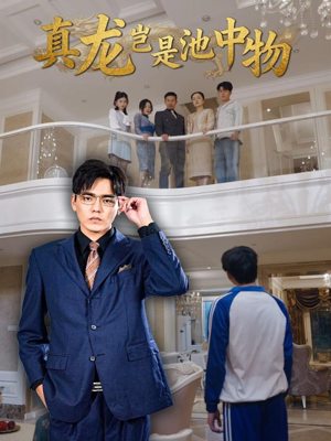真龙岂是池中物（80集）最新热播短剧抢先看