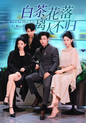 白茶花落离人（51集）最新上映的短剧