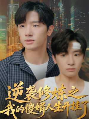 逆袭修炼之我的傻婿人生开挂了（65集）全集短剧免费在线观看