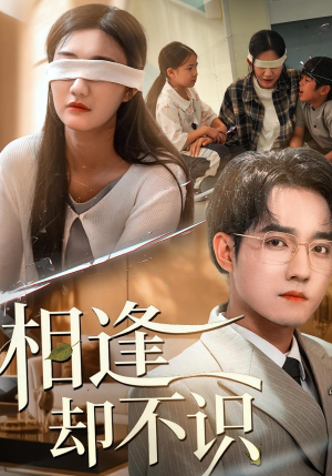 相逢却不识（77集）超火爆短剧抢先看全集