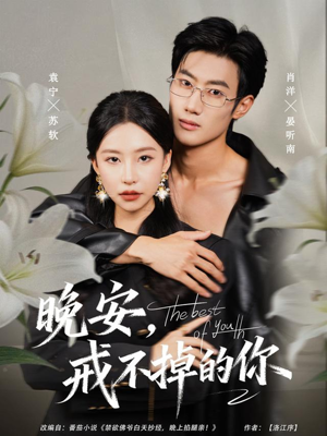 晚安，戒不掉的你（68集）最新热门短剧抢先看