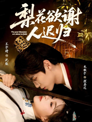 梨花欲谢人迟归（60集）全部免费观看全集