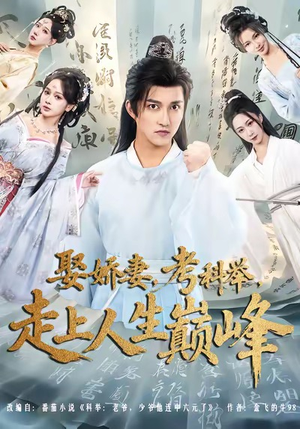 娶娇妻，考科举，走上人生巅峰（80集）睡不着一起追短剧吧