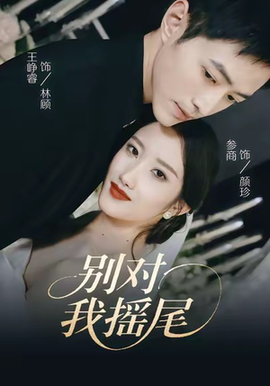 别对我摇尾（59集）独家短剧资源免费分享