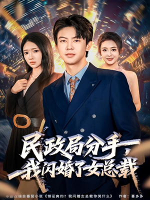 民政局分手，我闪婚了女总裁（72集）短剧大剧场短剧推荐