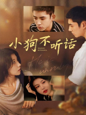 小狗不听话（70集）在线看短剧全集免费看