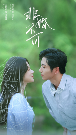 非婚不可（65集）精彩又上头的短剧来了