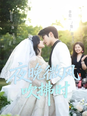 夜晚微风吹拂时（61集）经典回顾短剧免费看