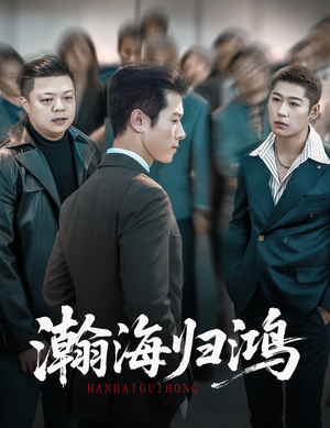 瀚海归鸿（74集）短剧小说在线看