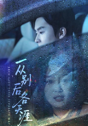 一从别后各天涯（61集）深夜短剧精彩分享