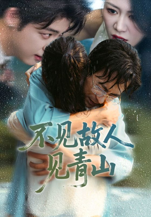 不见故人见青山（91集）穿越短剧免费看全集