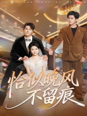 恰似晚风不留痕（61集）精彩短剧热播中