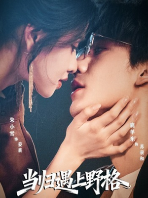 当归遇上野格（66集）一键观看免费短剧