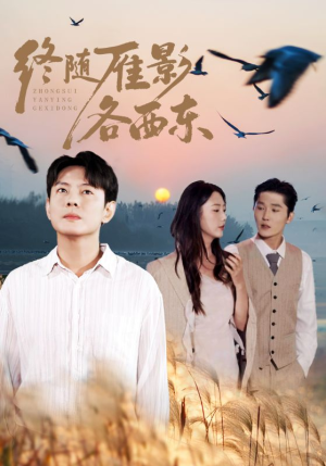 终随雁影各西东（86集）看短剧放松一下