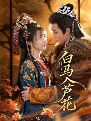 白马入芦花（59集）全网短剧抢先看全集