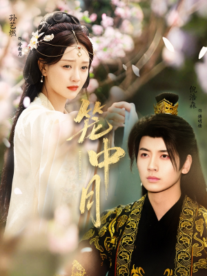 笼中月（65集）每晚准时更新分享