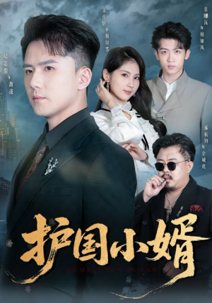 护国小婿（60集）好看的短剧同大家分享