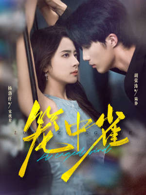 笼中雀（65集）热播短剧持续更新