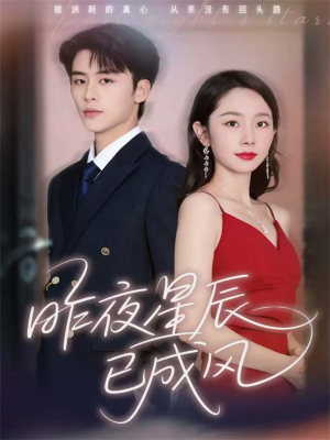 昨夜星辰已成风（75集）排行榜前十短剧