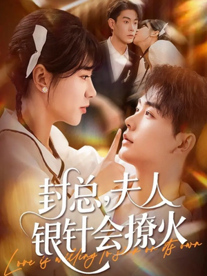 封总，夫人银针会撩火（69集）最新火爆短剧来袭