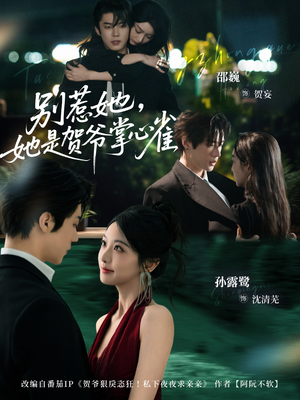 别惹她，她是贺爷掌心雀（69集）短剧限免全集任你点