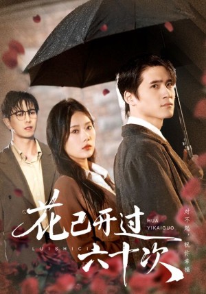花已开过六十次（72集）精彩短剧热播中