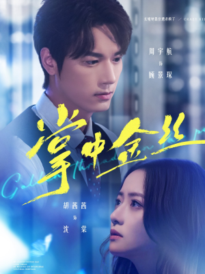 长姐她竟是隐藏大佬（60集）爱上了这部短剧了