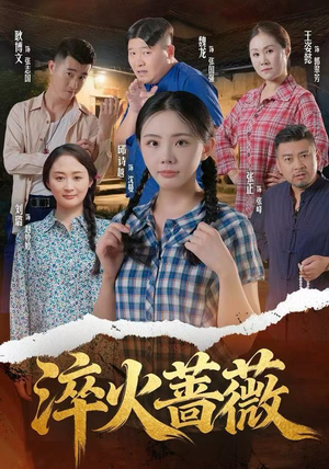 淬火蔷薇（50集）短剧追到爽全集完整版