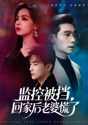 监控被挡，回家后老婆慌了（60集）一口气追完的短剧列表