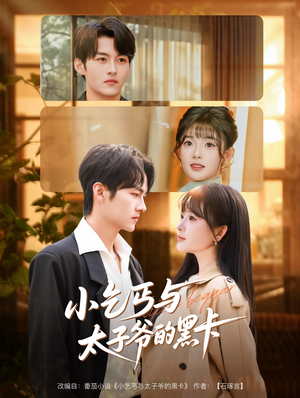 小乞丐与太子爷的黑卡（60集）短剧在哪个平台看