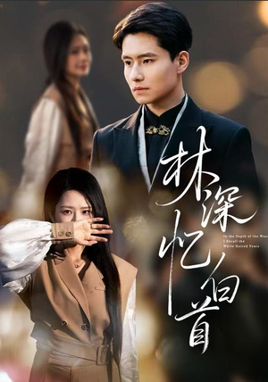 林深忆白首（60集）免费观看排行榜前十短剧