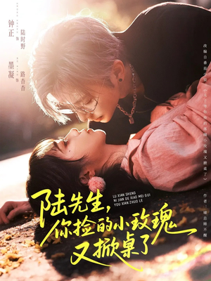 陆先生，你捡的小玫瑰又掀桌了（74集）爆款短剧正在热播